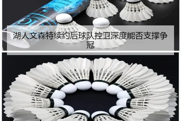 湖人文森特续约后球队控卫深度能否支撑争冠